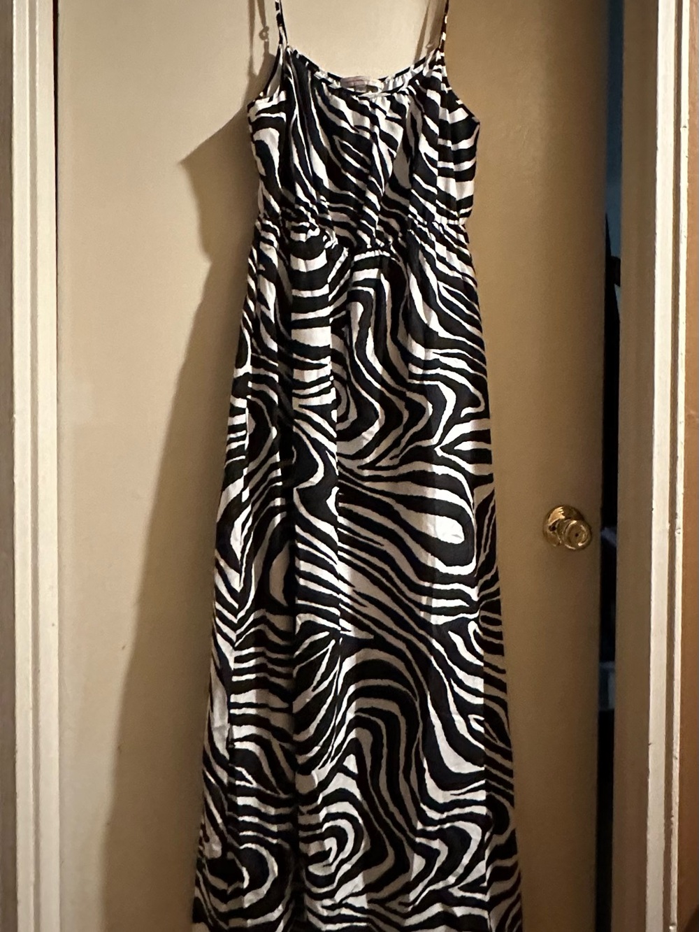 Banana Republic Zebra-Print Maxi Dress - Black & White